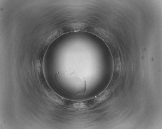 X0000073920279200608111230