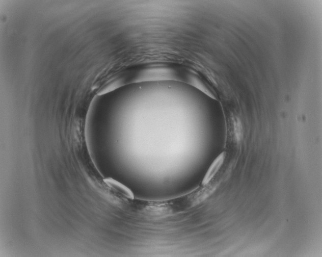 X0000073920280200608111230