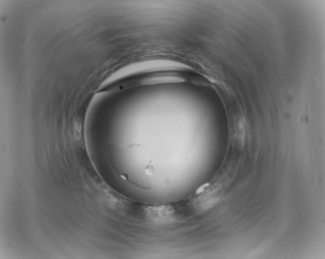 X0000073920281200608111230