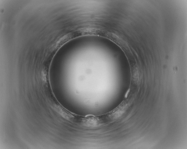 X0000073920282200608111230