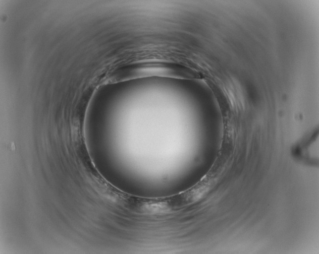 X0000073920283200608111230