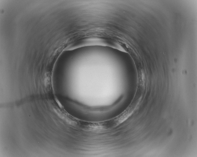 X0000073920284200608111230