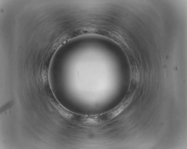 X0000073920285200608111230