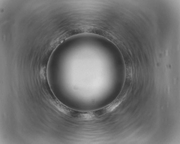 X0000073920286200608111230