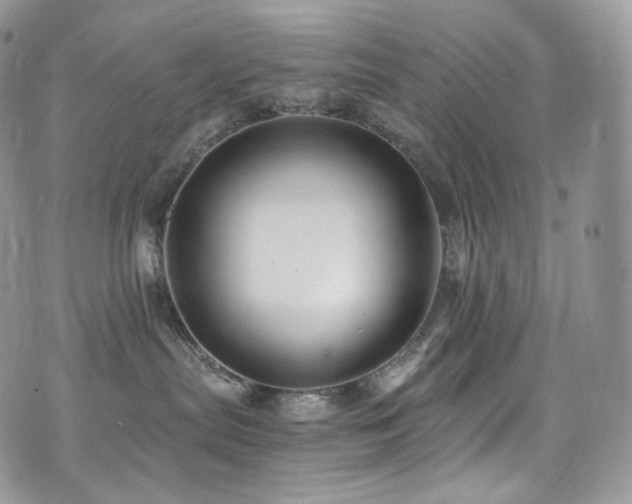 X0000073920287200608111230