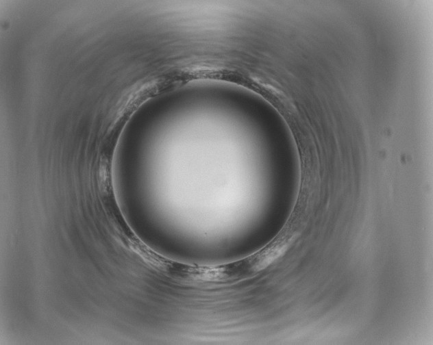 X0000073920288200608111230