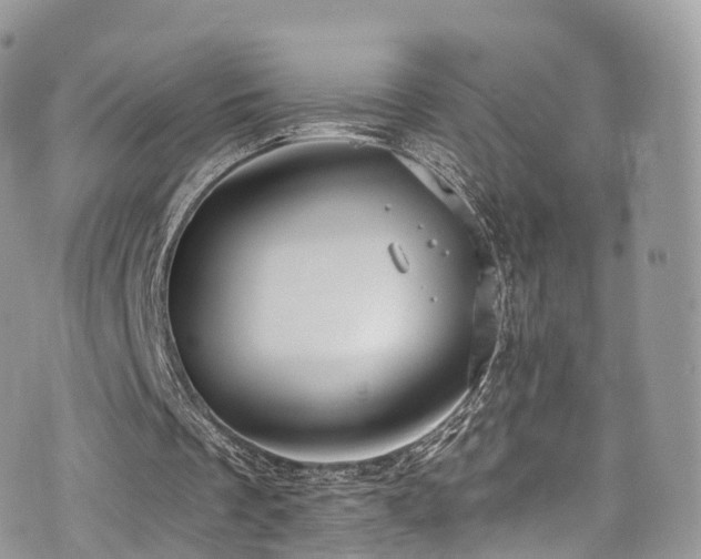 X0000073920289200608111229