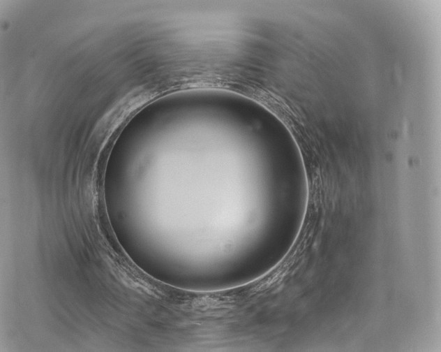 X0000073920290200608111229