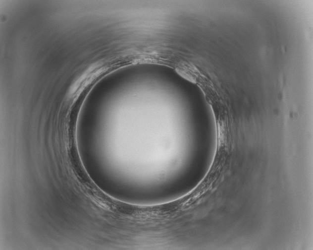 X0000073920291200608111229