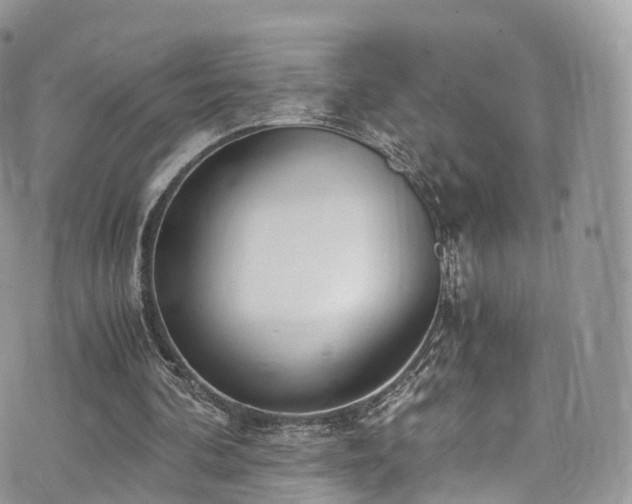 X0000073920292200608111229