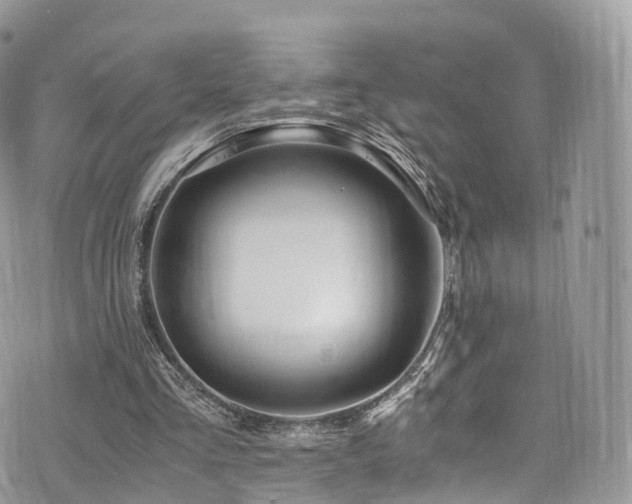 X0000073920293200608111229