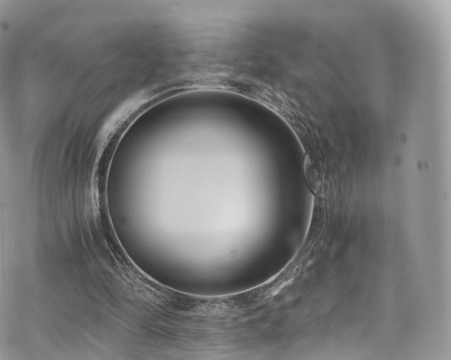 X0000073920294200608111229