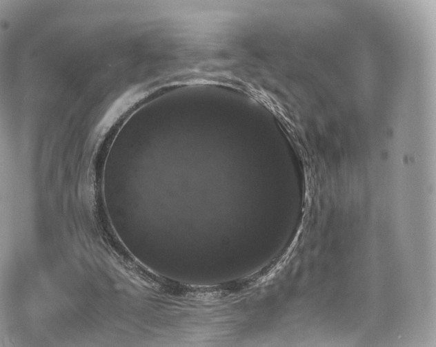 X0000073920295200608111229