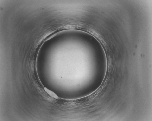 X0000073920297200608111229