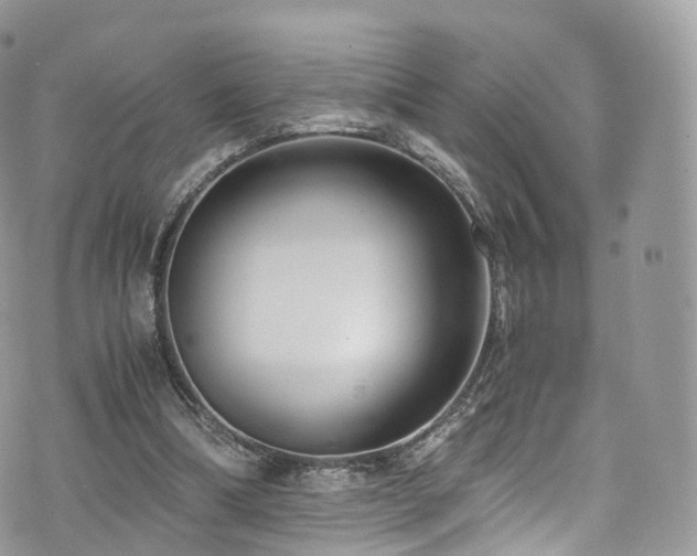 X0000073920298200608111229