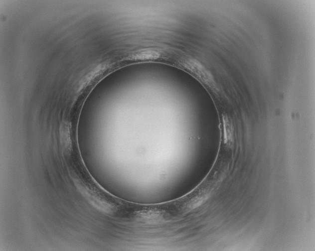 X0000073920300200608111229