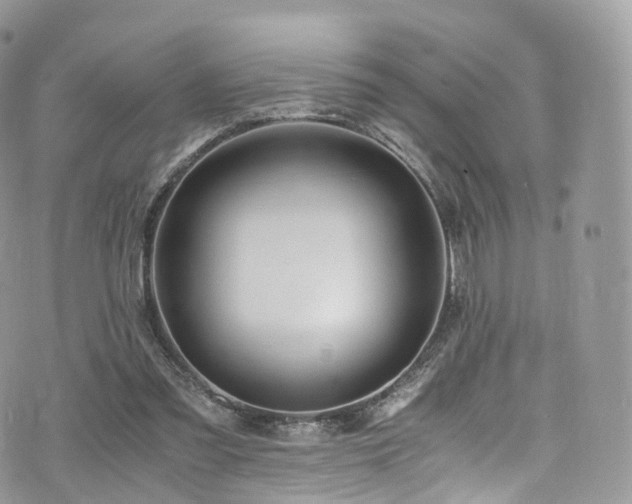 X0000073920301200608111229