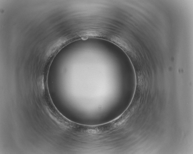 X0000073920302200608111229