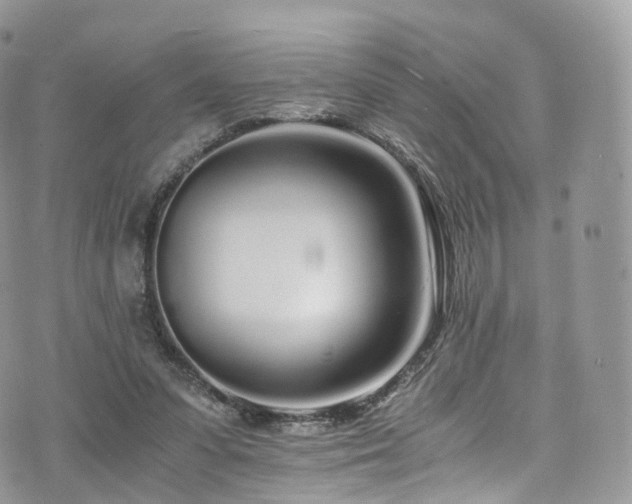 X0000073920303200608111229