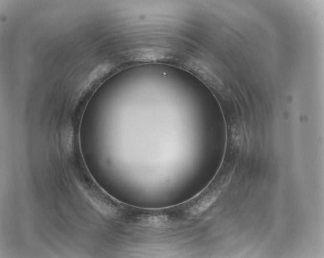 X0000073920304200608111229