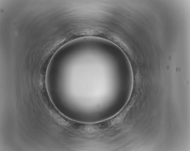 X0000073920305200608111229