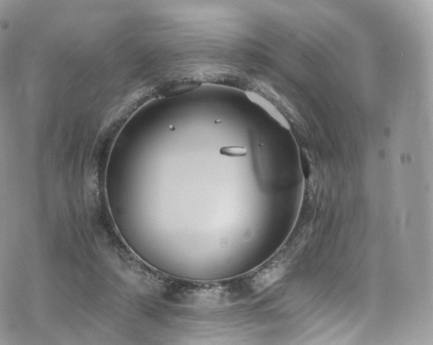 X0000073920306200608111229