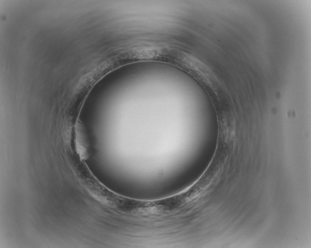 X0000073920307200608111229