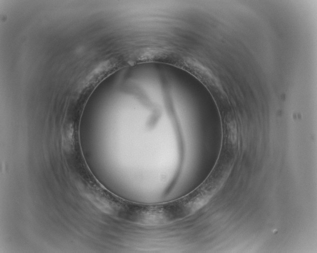 X0000073920308200608111229