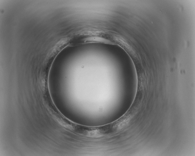 X0000073920309200608111229