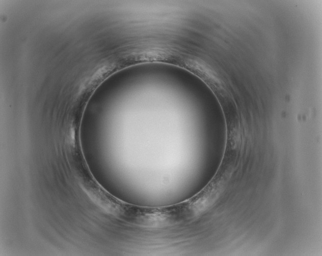 X0000073920310200608111229