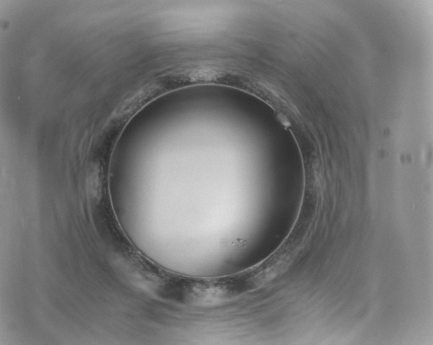 X0000073920311200608111229