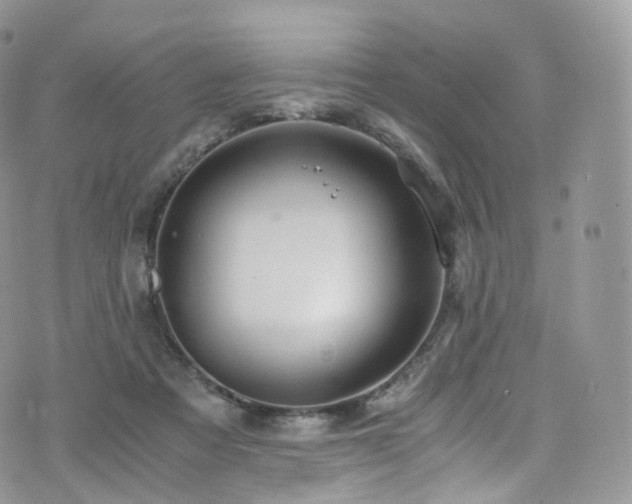 X0000073920313200608111229