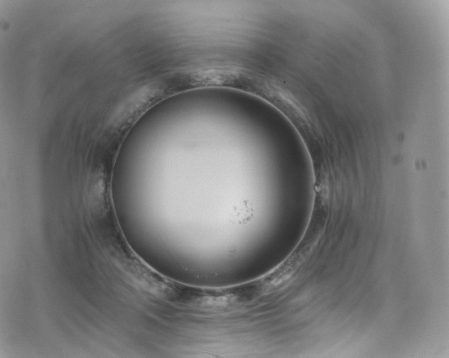 X0000073920314200608111229