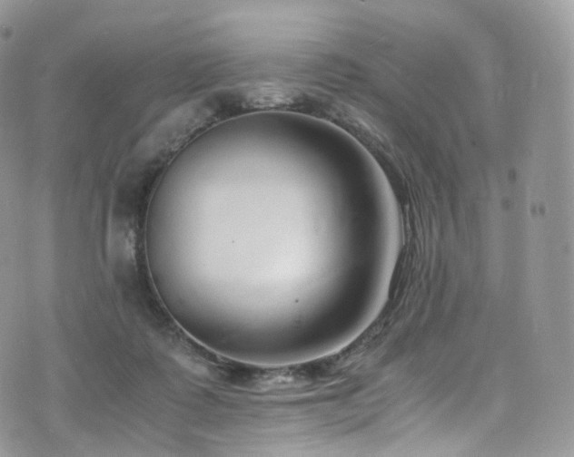 X0000073920315200608111229