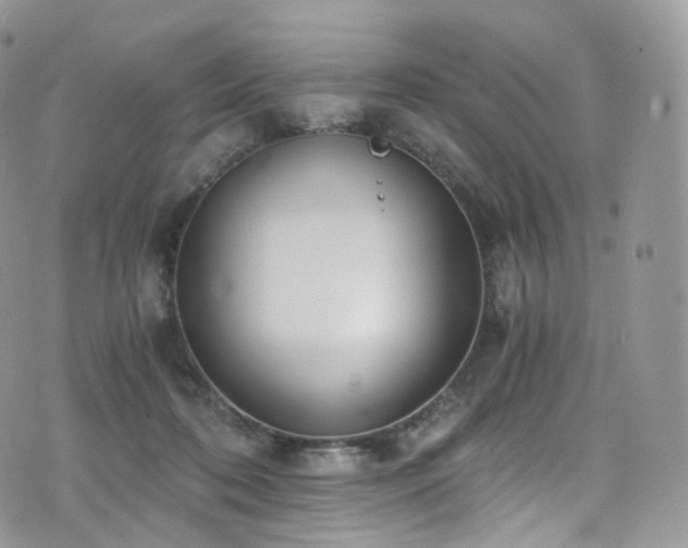 X0000073920316200608111229