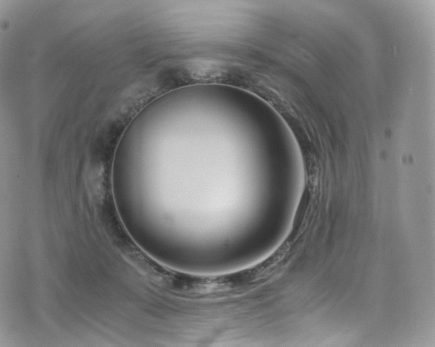 X0000073920319200608111229