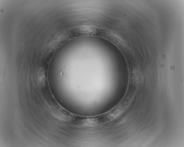 X0000073920320200608111229