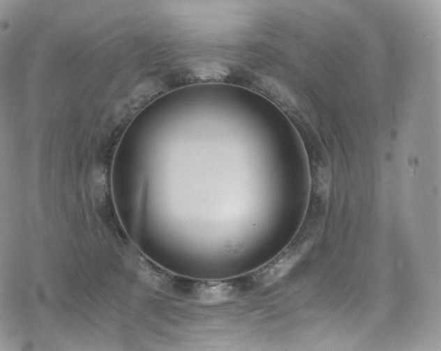 X0000073920321200608111229