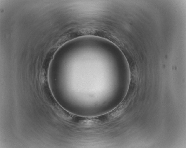 X0000073920323200608111229