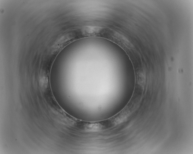 X0000073920324200608111229