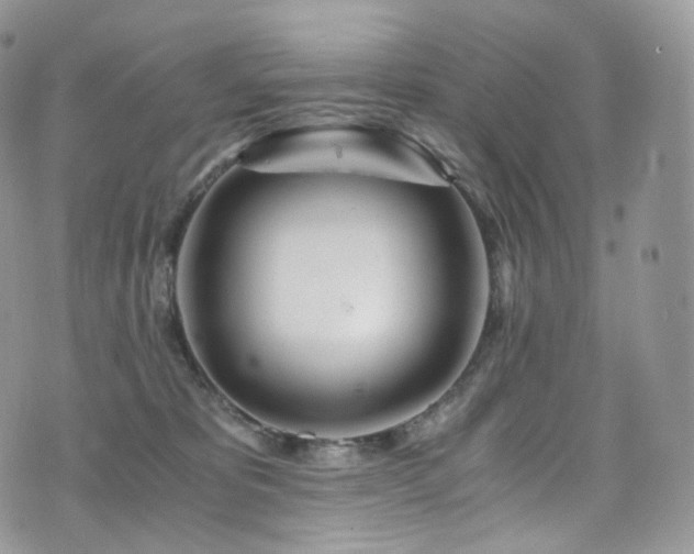 X0000073920325200608111229