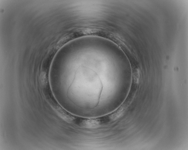 X0000073920327200608111229