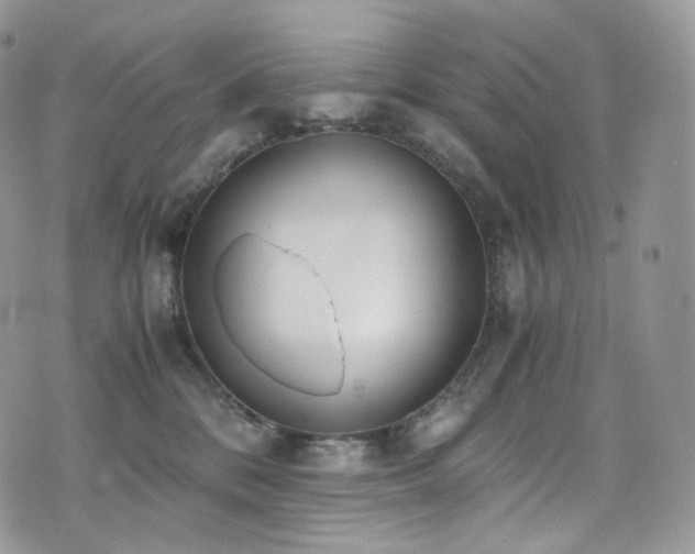 X0000073920328200608111229