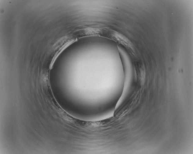 X0000073920329200608111229