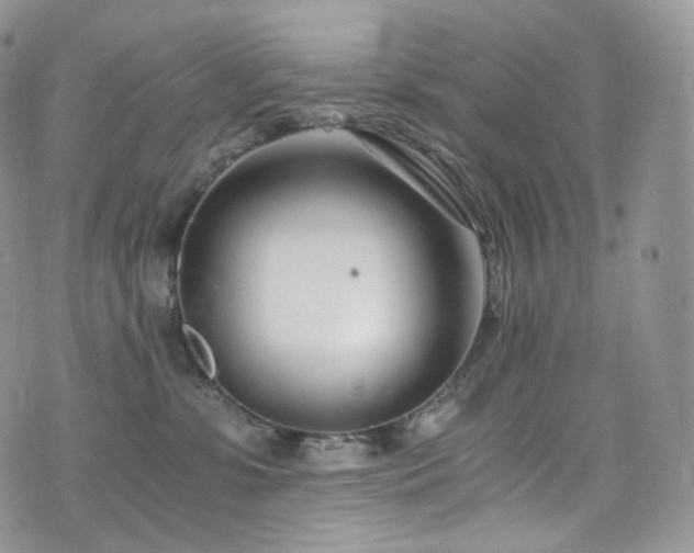 X0000073920331200608111229