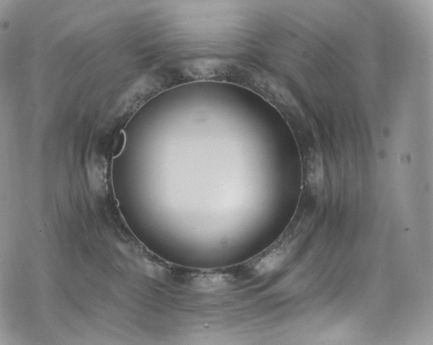 X0000073920332200608111229