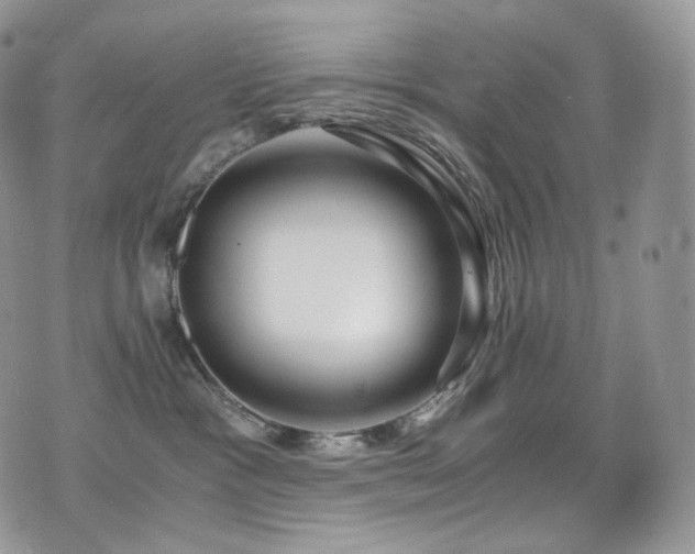 X0000073920333200608111229