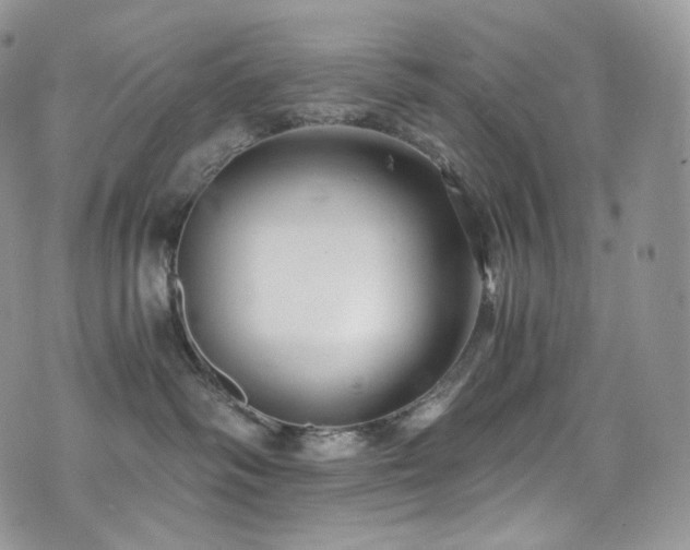 X0000073920334200608111229