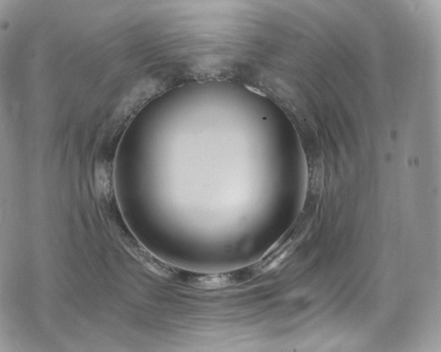 X0000073920335200608111229