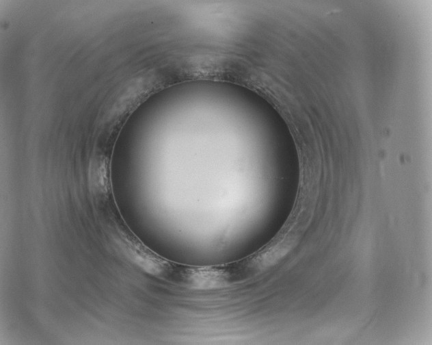 X0000073920336200608111229